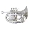 Corne de trompette de poche en sib plaqué argent avec étui et embouchure Instruments de musique Instrument de trompette professionnel