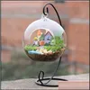 Vases Home Decor Garden Ll Micro Landscape Ecological Bottle Iron Frame Without Wrought Irons Hanging Plant Flower Stand Dhr7S