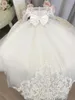 Kız Elbiseleri Fildişi Dantel Çocuklar Çiçek Kız Elbise Düğün Uzun Kollu Tül Prenses Parti Pageant Kızlar Kutsal İlk Cemaat Gowngirl