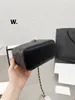 Nouveau Populaire Sacs À Bandoulière Designer Femme De Luxe Tronc Sacs À Main En Cuir Femmes Petit Sac À Main Top Qualité Lady Chaîne Bandoulière Designers Sac En Gros Totes sacs