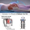Fat Freezing System Cryolipolysis Slimming Fat Removal Standing HIEMS Muscle Building Shaping Vest Line Machine