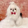 犬のアパレル調整可能なハロウィーンペットアクセサリー子犬猫ネックレスクリスマスボウタイ首ストラップグルーミングカラーコラー