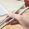 Herbruikbare eetstokje metalen Chinese eetstokje met plastic tarwestro -handgreep 4 kleuren