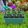 Watch Bands 5-Pack Seed Starter Tray Seedling Kits Plant Kit With Humidity Domes And Base Greenhouse Propagator Hele22