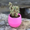 Colourful Round Plastic Plant Flower Pot Planter Garden Bed Home Office Decor Planter Desktop Pots