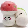 Pet Plush Toys Watermelon Rasish Plushtoy Classical Cute Dog Gift Softpet Loving Molartoys 18 Styles Wll1413