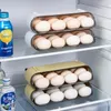 Kancalar Raylar Buzdolabı Yumurta Saklama Kutusu 12 Izgara Tutucu Kılıf Mutfak Dolabı Organizatör Konteyner Slayt Rafı Alan Tasarruf Shelfhooks