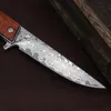 1st R0708 Pocket Folding Knife 76 Lager VG10 Damascus Steel Blade Rosewood / Abalone Shell Handle Ball Bearing Flipper Fast Open Knives