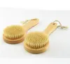 Brosse pour le corps de la peau sèche avec manche en bois court, poils de sanglier, épurateur de douche, masseur exfoliant FY5312 P0718