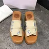 2022 Woody Chinelos Sandálias Slides Feminino Designer Sapatos Plataforma Cunha Mules Lona Tanga Slingback Bico Quadrado Preto Branco Vermelho Chinelo Sandália Slide Scuffs