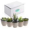 Couronnes De Fleurs Décoratives Ensemble Plantes Succulentes En Pot Céramique Bonsaï Avec Pots Ciment Fleur Artificielle Faux Pour Mariage Jardin Maison De