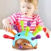 Hedgehog shape sorter color color satching toy toy for kids