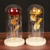 Geschenkwikkeling Goudfolie Glas Cover Rose creëert Kerstmis en Valentijnsdag LED -lamp Immortal Flower Ornamentgift