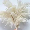 Декоративные цветы венки кремовый цвет 60 см пампас трава пушистый сушеный внутренний натуральный декор Букет бохо