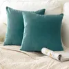 Cushion/Decorative Pillow 30cm 50cmThrow Pillows Velvet Luxury Sofa Decorative CushionsCover Living Room Home Decor Pillowcase Modern Throw