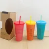 Star-B Tumblers Thermochromic Cup Cold and Changeable Plastic Color Changing Straw PP Materials Cups 5 PCS Set Colorful