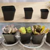 4 Storlek Square Nursery Plastic Flower Pot Indoor Home Desk Yard Planting Pots Garden Planters Succulents Black Flowerpot BH6265 TQQ