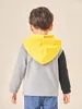 Veste en peluche à capuche avec fermeture éclair sur le devant et broderie de lettres colorblock pour tout-petits garçons SHE