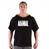 Men's Tank Tops Men's T Shirts Fitness Men Bodybuilding Shirt Batwing Sleeve Rag Gym Muscle Running Shirt2022Men's