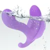 Calcinha vibratória de controle remoto sem fio aquecimento sexy brinquedos para mulheres vestidos de borboleta vibrador clitador de vibrador estimulador