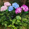 Solar Led Hydrangea Flower Light Outdoor 4 Colors Vivid Light Party Holiday Landscape Garden Pathway Lawn Spike