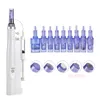 Hydra Injector Mesotherapy Aqua Derma Pen with 12 Pin Needles and Tube 2 في 1 ماكينة حقن القلم الذكي المحمولة 220623