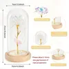 Strings Mothers Day Flowers Gifts Colorful Artificial Flower Galaxy Rose With Led Light In Glass Dome From DaughterLED StringsLED