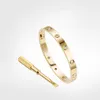 Fabricante de qualidade Bracelete de parafuso de amor 5.0 Pulseiras de designer 10 diamantes Bangle Jóias de luxo Mulheres de titânio liga de aço Gold-242b