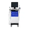 Schoonheidssalonuitrusting 10 in 1 water Aqua Peeling Oxygen Jet Plee Facial Diamond Dermabrasion Hydro Facial Machine