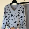 Set di 2 pezzi lavorati a maglia con stampa leopardata allentata casual per le donne Pullover con scollo a V felpe e pantaloni Harem in colore a contrasto 220315