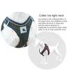 Dog Collars & Leashes Pet Chest And Back Leash For Small Medium-sized Dogs Harness Set Accessories Products DogDog