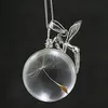 Chaînes À La Mode Boule De Verre Collier Personnalisé À La Main Pendentif Charme Clavicule Chaîne Cadeau Exquis Pour Les Femmes BNChains Heal22