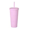 22oz çift duvarlı mattetumblers Resuable Pastel Renkli Su Kupa Renkli Akrilik1258029