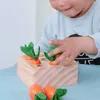 Wooden Toys Baby Montessori Toy Set Pulling Carrot Shape Matching Size Cognition Baby Toy Educational Toy For Children Kids Gift 220706