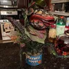 Decorative Flowers & Wreaths Piranha Decoration Without Pot Movie Props Horror Halloween Unique Flower Accessory