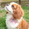 2022 novo vestuário de cães 60pcs / animal de estimação cachorro gato bonitos arco laços ajustáveis ​​Ovos de Páscoa / padrão Bowties Collar Accessória Suprimentos