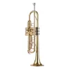Студенческая труба Стандартный BB Brass Trumpet Wind Instrument с мундштуком для перемешивания перчатки для очистки ткани тюнер