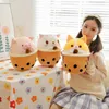 Creative Milk Tea Pillow Pig Dog Cat Plush Toy Bed Pillows Leisure Pillow Home Decoration Birthday Gift For Girls And Children