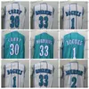 Hommes Vintage Basketball Hommes Tyrone 1 Muggsy Bogues Maillots Larry 2 Johnson Dell 30 Curry Alonzo 33 Mourning Glen 41 Rice Basketball Vert Blanc Cousu Jersey