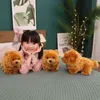 ПК CM Simulation Simulation Chow Plush Toys Kawaii Dogs Coll Beautiful Chowdren for Kids Girls День рождения подарки подарка дома J2207048897787