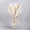 Decorative Flowers & Wreaths Natural Dried Pampas Grass Bouquet Boho Home Decor Phragmites For Wedding Planta DekorationDecorative