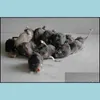 Echte Kaninchenfell-Maus für Katzenspielzeug mit Ton, hohe Qualität, 1 Stück, Mischungsfarbe, Tropfenlieferung, 2021, Lieferungen, Haustierhaus, Garten, Wzwyq
