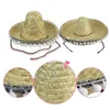 Duże sombrero meksykański kapelusz Deluxe słomki czapki gringo kostium fantazyjna sukienka impreza szeroka brzeg delm22