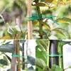 Torção de arame portátil Twion Ties Green Garden Garden Gardening Gardenings Slicer Support Support Care Garden Supplies