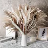 80 Stück natürlicher getrockneter Pampasgrasstrauß, Boho Home Decor Blumenstrauß, Phragmites getrocknete Blumen, Blumenstrauß für Hochzeitsdekoration 220408