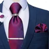 Bow Ties mode shinny paars voor mannen met zilveren stropdas clip ring heren zakelijke bruiloft accessoires nek pocket square donn22