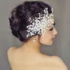 Ornamenti lampeggianti Pettine per capelli con strass Clip Perla Accessori per capelli da sposa Gioielli Tiara Corona nuziale Copricapo da sposa in cristallo