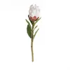 Dekoratif Çiçek Çelenkleri Zerolife Yapay Çiçek Çar Dekor 1pc37cm Beyaz Pembe İmparator Sahte Bitki Lotus Sonbahar Evde Oturma Odası