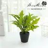 Decorative Flowers & Wreaths Simulation Flower Plant Bonsai Jue Ye Green Potted Artificial Creative Office Decoration BonsaiDecorative