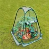 Mini Taşınabilir Plastik Sera Çadır Temiz Kapak Çiçekler Bonsai Bitkileri Bahçe Yeşil Ev